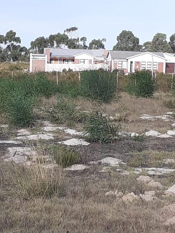 0 Bedroom Property for Sale in Albertinia Western Cape